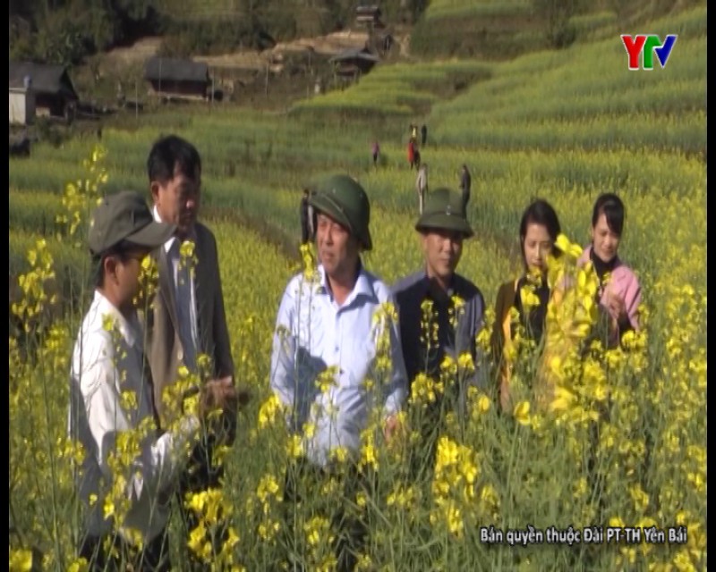 Huyện Mù Cang Chải xây dựng các mô hình nông lâm nghiệp