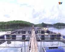 Xã Mông Sơn huyện Yên Bình phát triển nuôi cá lồng trên Hồ Thác Bà