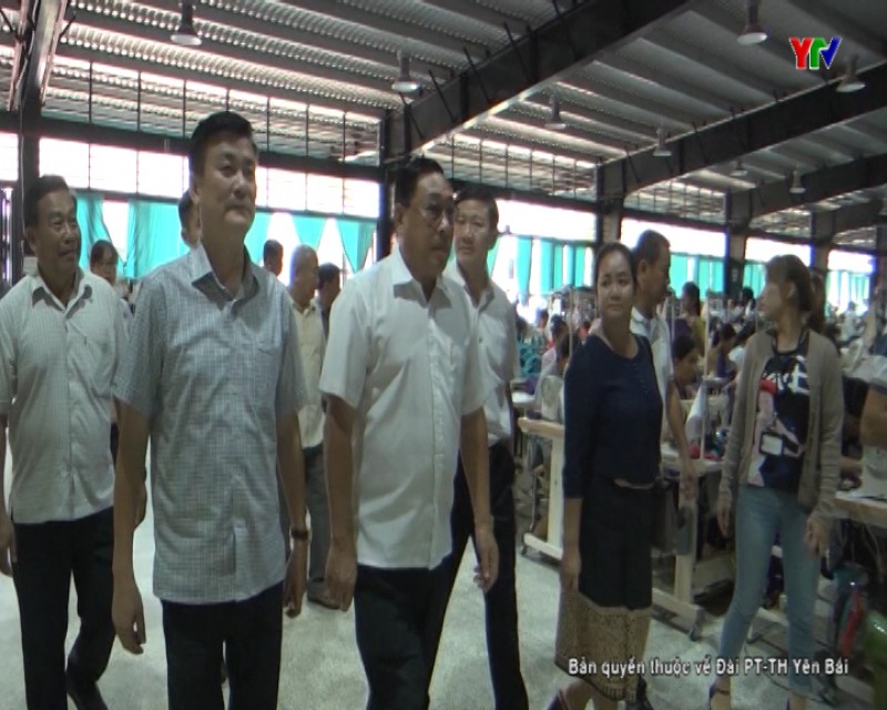 Đoàn đại biểu cấp cao tỉnh Viêng Chăn thăm mô hình dâu tằm tại Trấn Yên và Công ty may tại thành phố Yên Bái