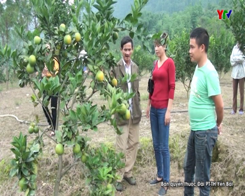 Lục Yên phát huy hiệu quả Quỹ Hỗ trợ nông dân