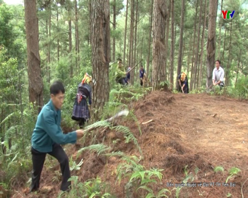 Huyện Mù Cang Chải tăng cường công tác phòng chống cháy rừng mùa khô hanh