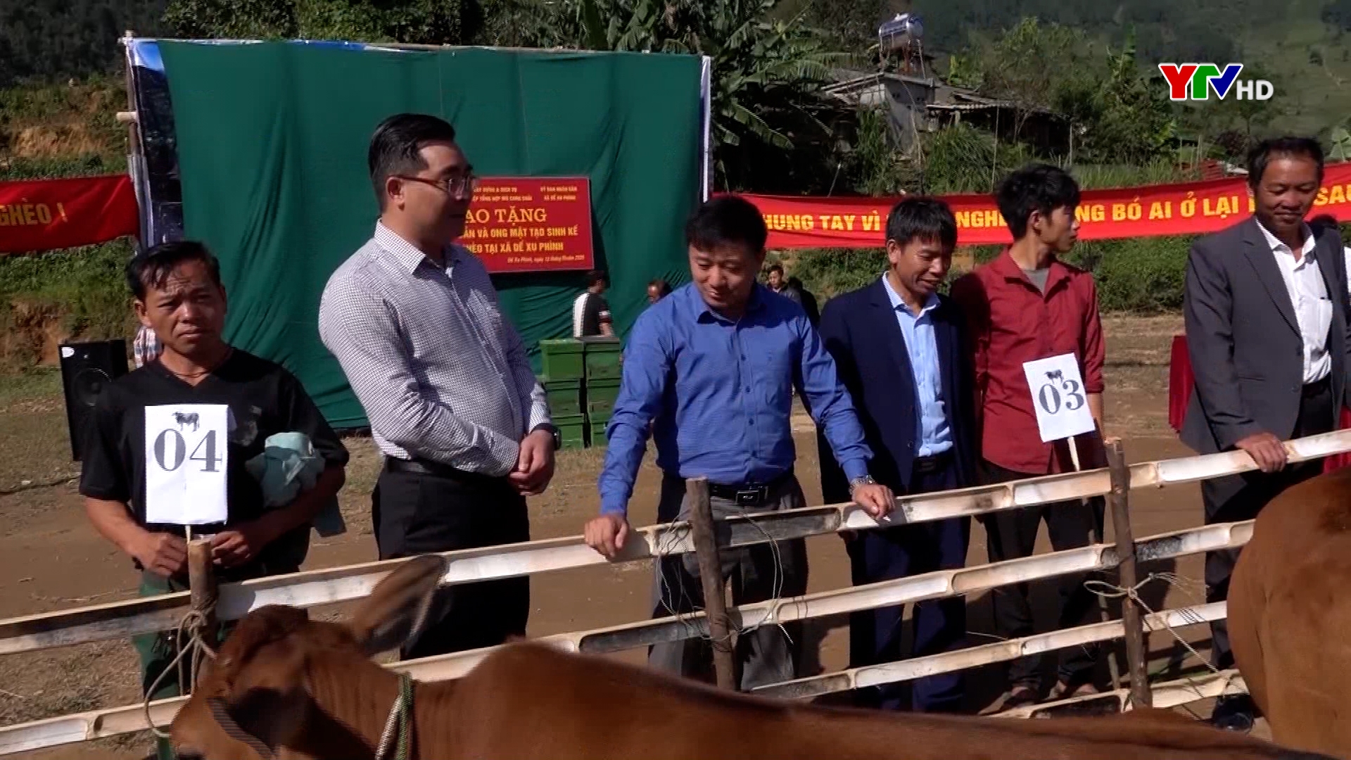 Ủy ban MTTQ tỉnh trao bò giống cho hộ nghèo xã Dế Xu Phình, huyện Mù Cang Chải