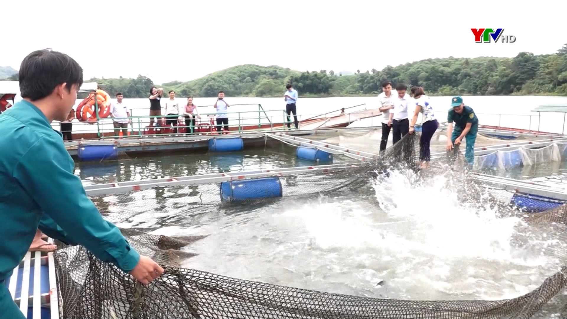 Huyện Lục Yên phát triển 84 lồng cá