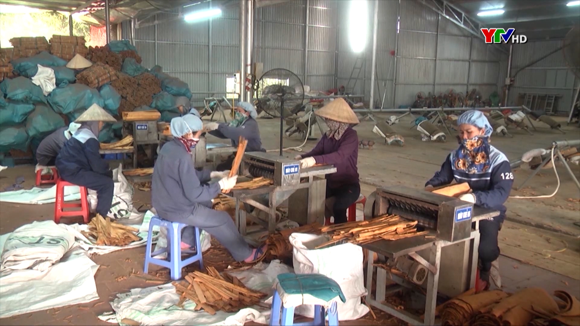 9 tháng: Huyện Văn Yên thành lập mới 37 doanh nghiệp, hợp tác xã