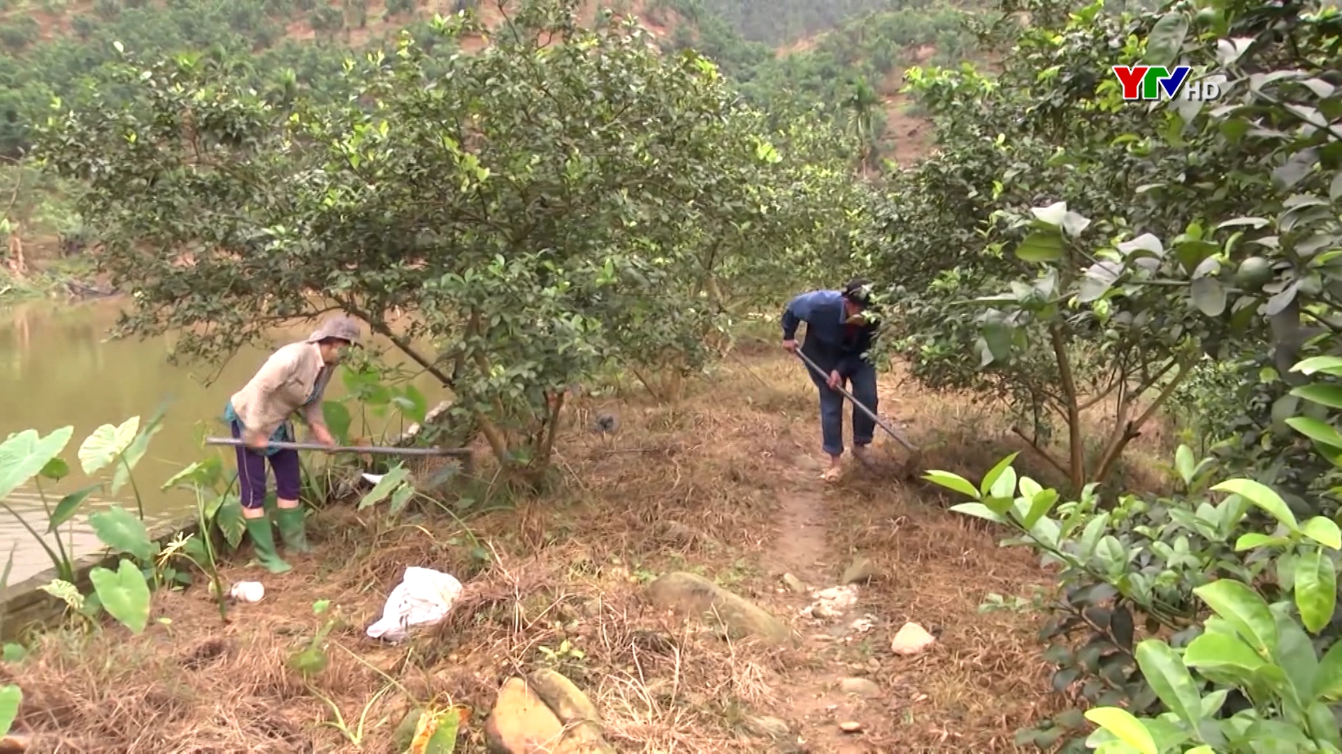 Văn Yên: Trên 2.300 hội viên nông dân thoát nghèo