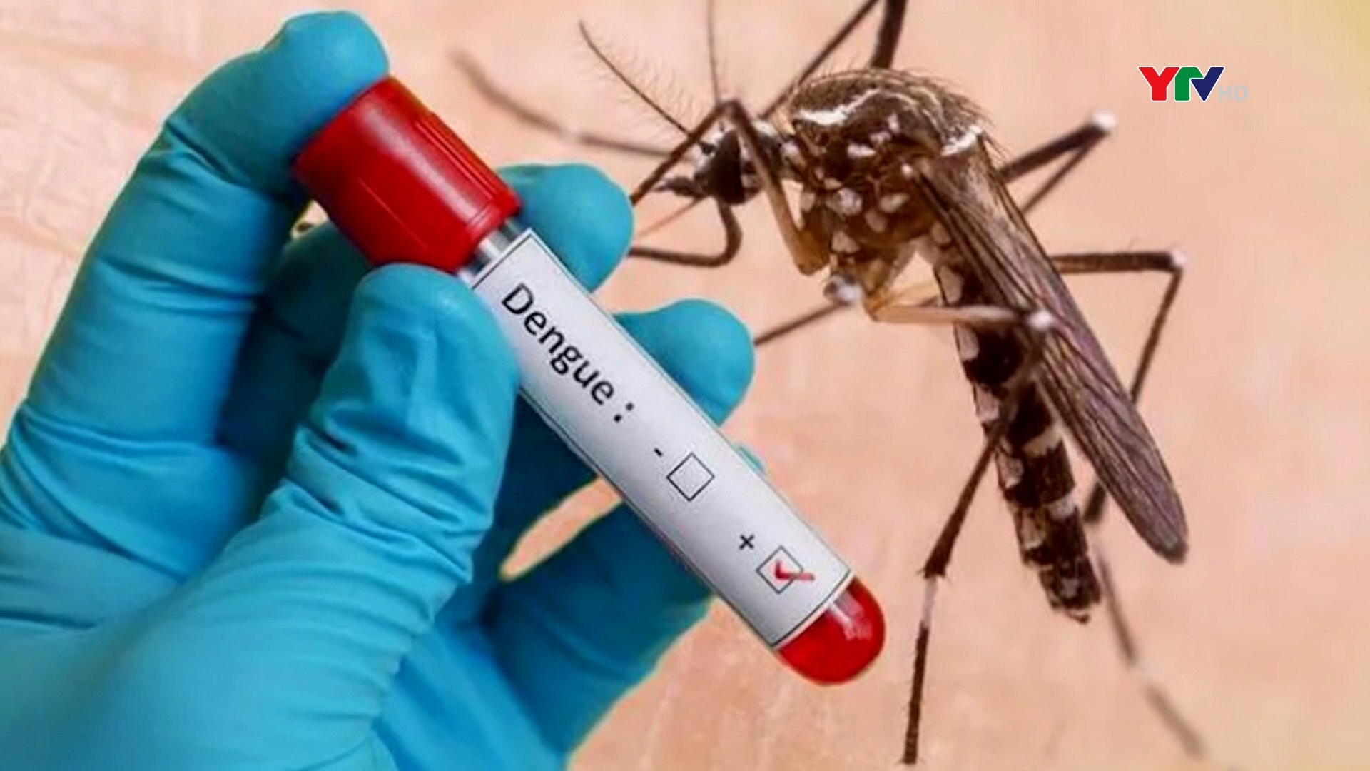 Yên Bái đẩy mạnh công tác tuyên truyền phòng chống dịch bệnh sốt xuất huyết