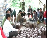 Thành phố Yên Bái thực hiện mô hình trình diễn đóng bịch nấm