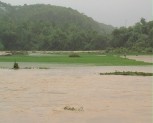 Biến đổi khí hậu gây thiệt hại cho huyện Trấn Yên hơn 10 tỷ đồng/ năm