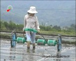 Huyện Lục Yên chủ động ứng phó với biến đổi khí hậu
