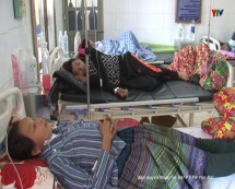 7 người trong một gia đình ở xã Nà Hẩu huyện Văn Yên bị ngộ độc nấm