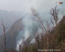 Niên vụ 2015 – 2016 huyện Mù Cang Chải xảy ra 5 vụ cháy thiệt hại trên 135 ha rừng.