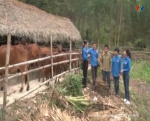 Đoàn thanh niên huyện Yên Bình thi đua phát triển kinh tế giỏi