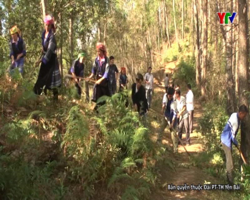 Huyện Mù Cang Chải thực hiện chính sách chi trả dịch vụ môi trường rừng