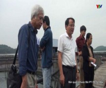 Hội Nghề cá Việt Nam tìm hiểu về tiềm năng phát triển thủy sản trên Hồ Thác Bà