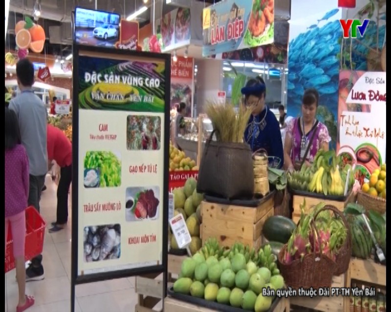 Huyện Văn Chấn đưa một số sản phẩm nông sản chủ lực vào bán tại hệ thống siêu thị Hà Nội