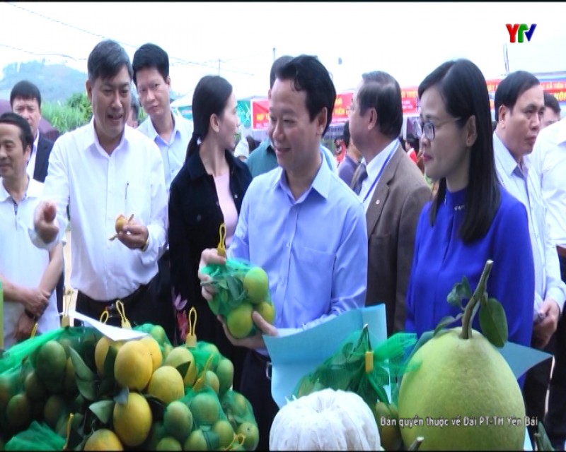 Đồng chí Chủ tịch UBND tỉnh Đỗ Đức Duy tham quan mô hình sản xuất nông nghiệp tại huyện Mai Sơn, tỉnh Sơn La