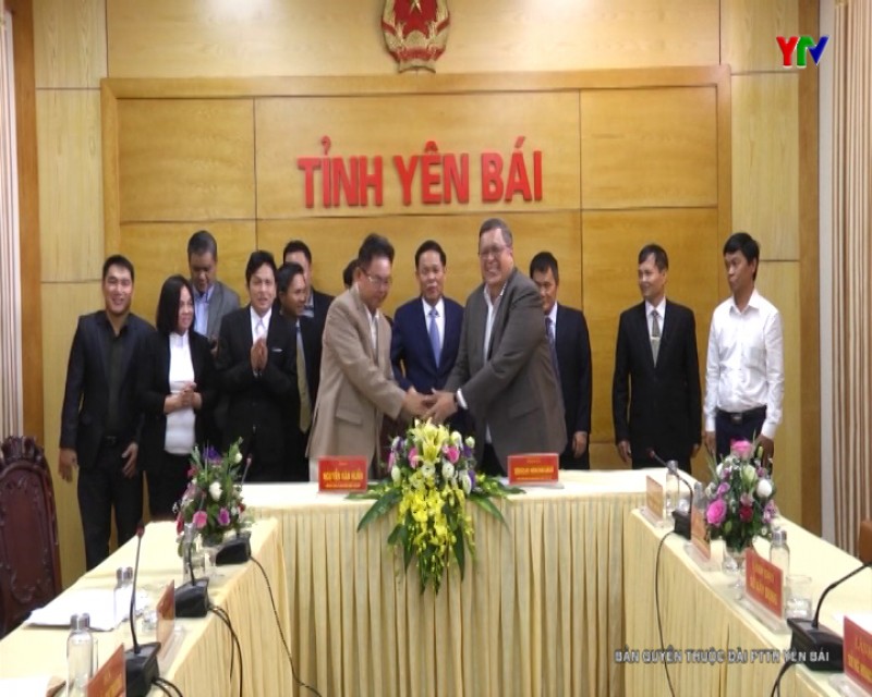 UBND tỉnh làm việc với Tập đoàn Năng lượng Thái Lan và Công ty TNHH Công nghiệp Hòa Phát