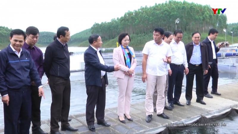 Đoàn công tác của tỉnh Hà Tĩnh khảo sát tại huyện Yên Bình