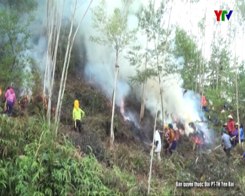 Diễn tập ứng phó cháy rừng, tìm kiếm cứu nạn năm 2019 tại xã Nghĩa An, thị xã Nghĩa Lộ