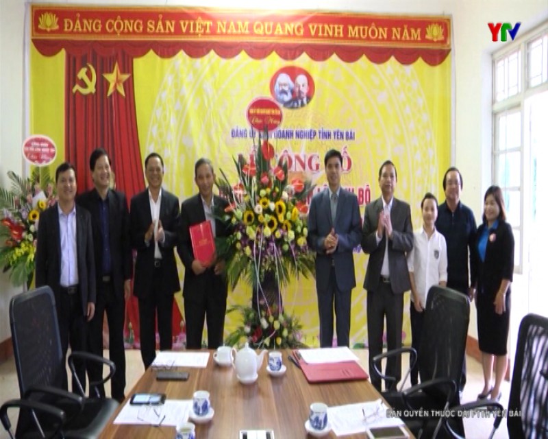 Công bố Quyết định thành lập Chi bộ Công ty cổ phần Sứ cách điện Việt Nam