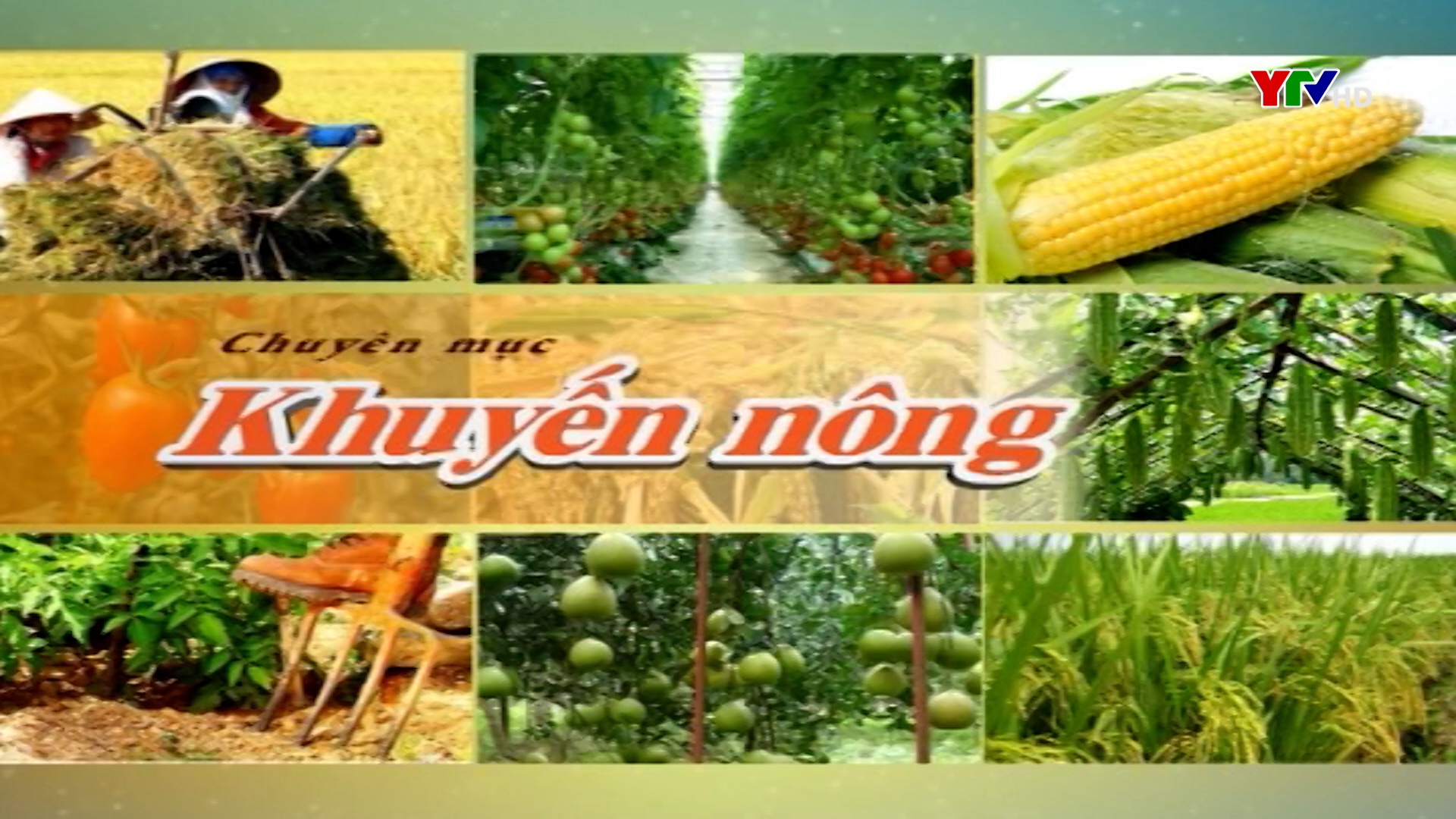 Phát huy hiệu quả nguồn vốn tín dụng chính sách