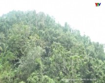 Lục Yên tăng cường các biện pháp phòng chống cháy rừng mùa khô hanh