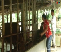 Hiệu quả hoạt động bộ phận “một cửa” ở huyện Văn Yên