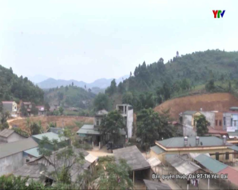 Xã Khai Trung huyện Lục Yên phát triển chăn nuôi đại gia súc