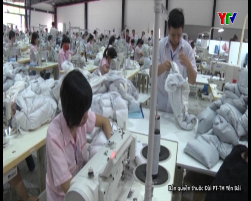 Năm 2017: TP Yên Bái đào tạo nghề cho gần 2.500 lao động