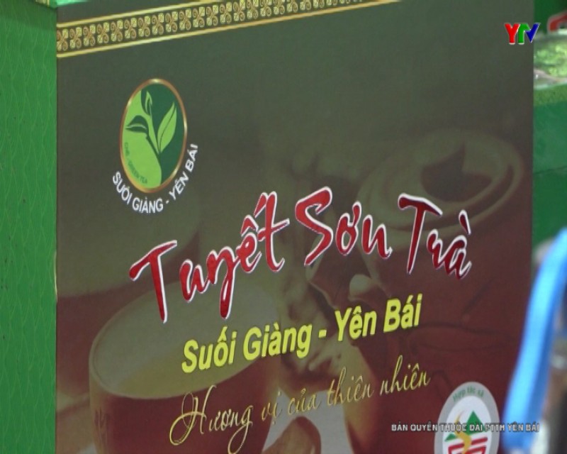 Văn Chấn thẩm định sản phẩm chè Tuyết sơn trà theo Bộ tiêu chí sản phẩm OCOP