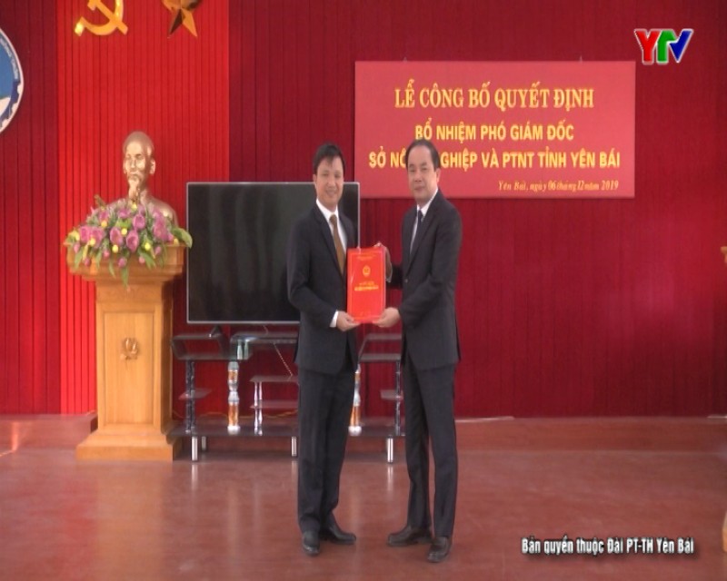 Phó Chủ tịch UBND huyện Yên Bình được điều động, bổ nhiệm giữ chức Phó Giám đốc Sở NN&PTNT