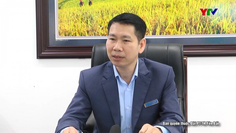 Phỏng vấn ông Nguyễn Trí Đại - Giám đốc BHXH tỉnh