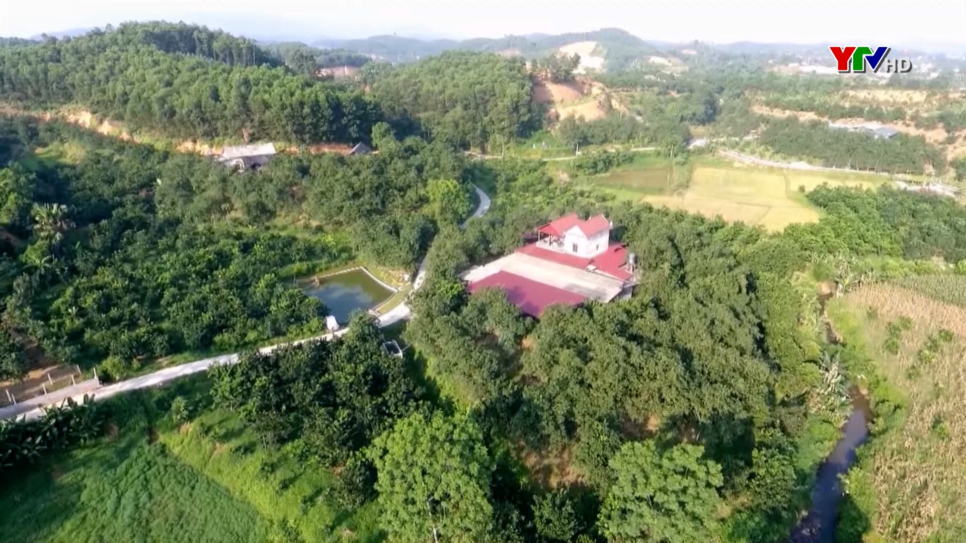 Hiệu quả chính sách đặc thù hỗ trợ sản xuất nông nghiệp ở huyện Yên Bình