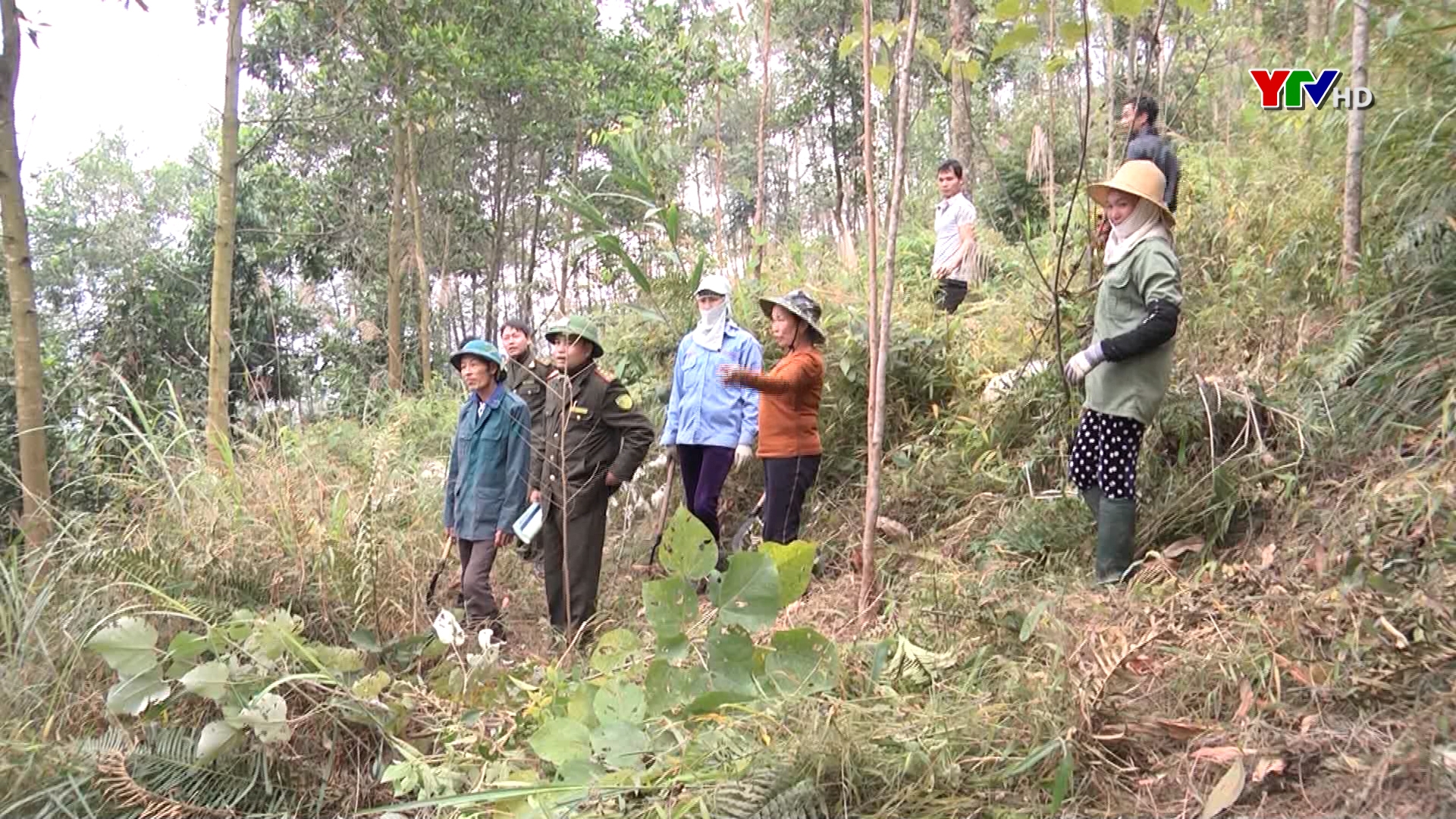 Huyện Văn Chấn tăng cường bảo vệ rừng, phòng chống cháy rừng