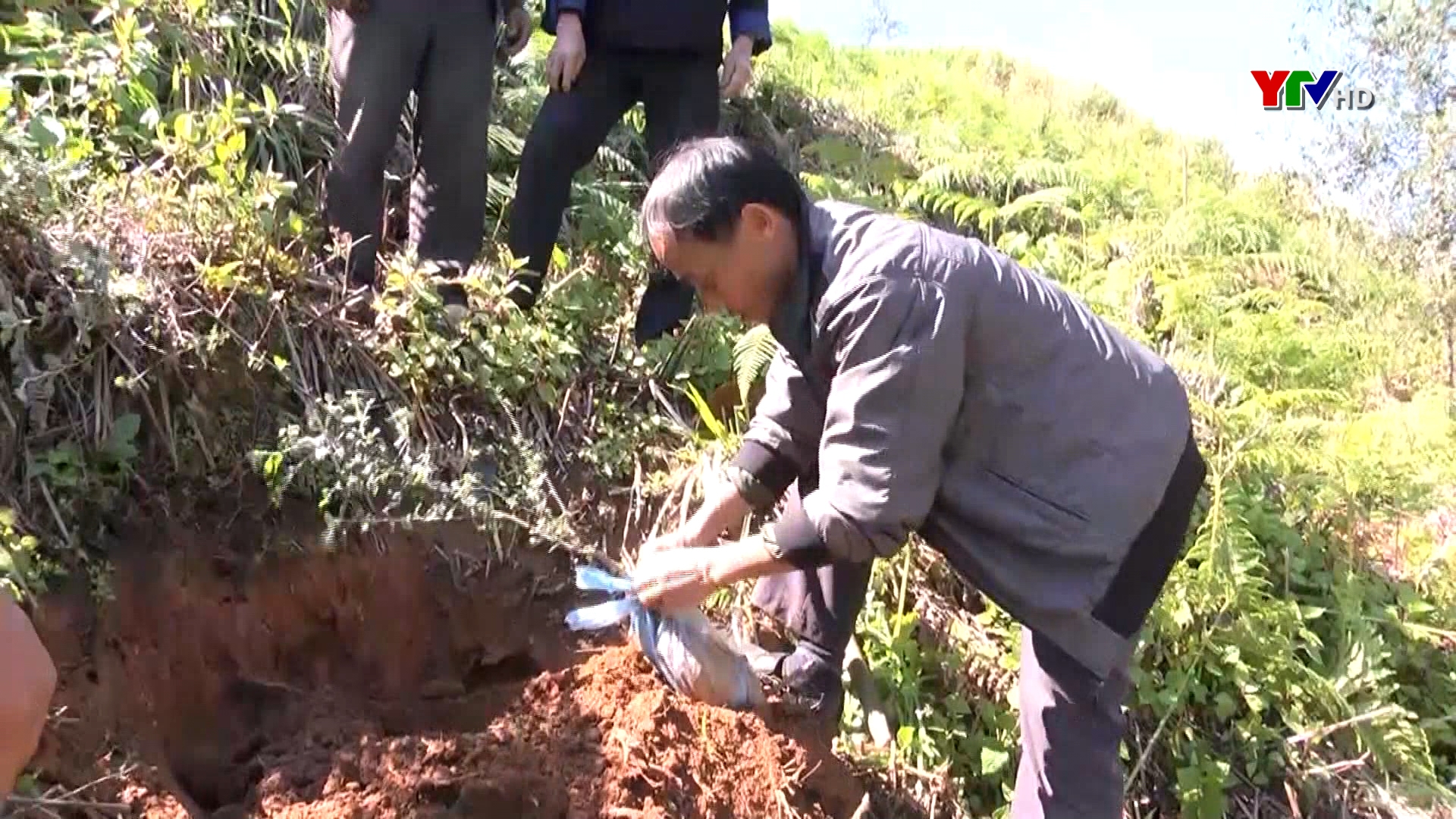 Huyện Mù Cang Chải tăng cường bảo vệ rừng