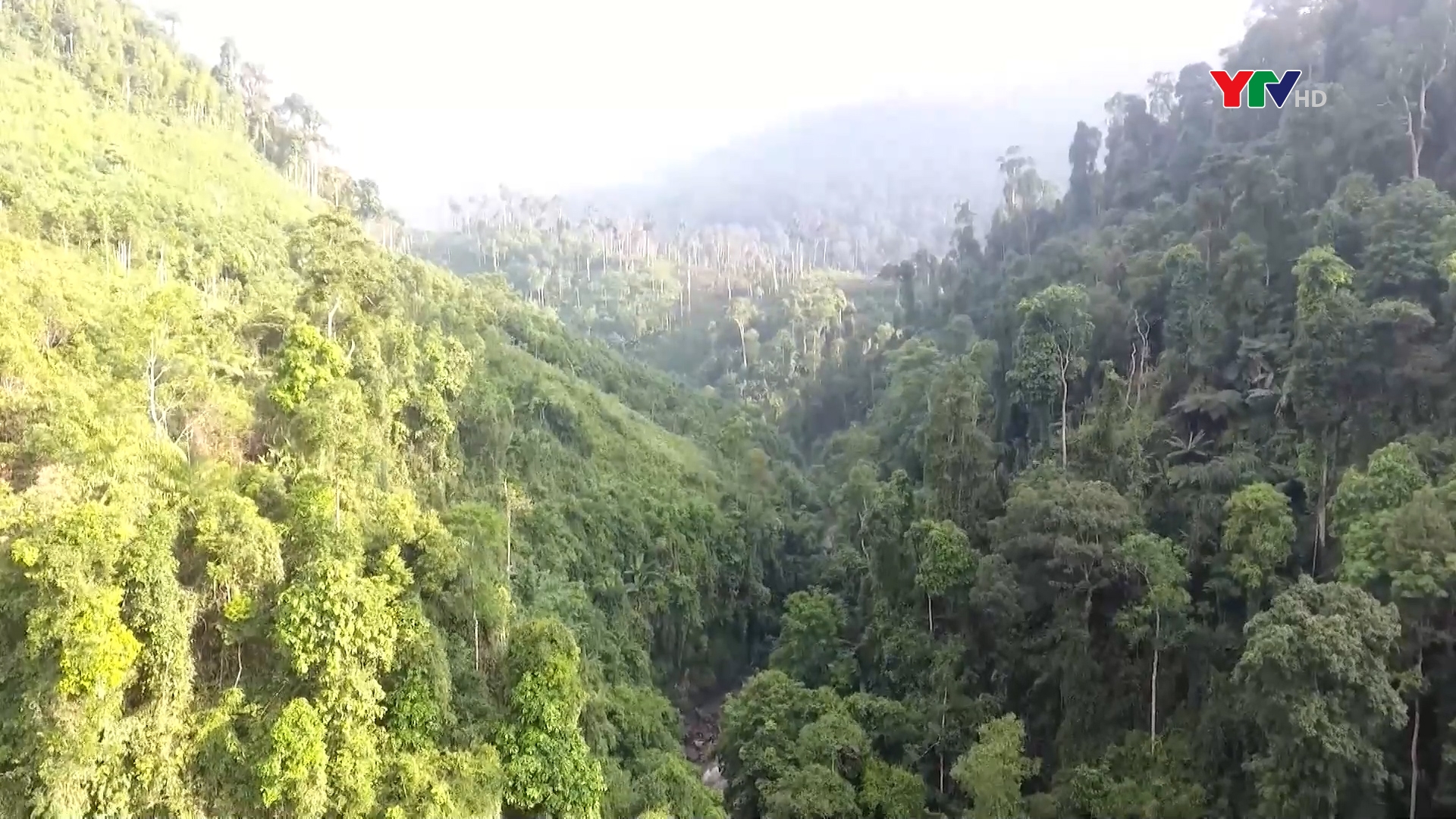 Chính sách chi trả dịch vụ môi trường rừng góp phần bảo vệ rừng bền vững ở Yên Bái