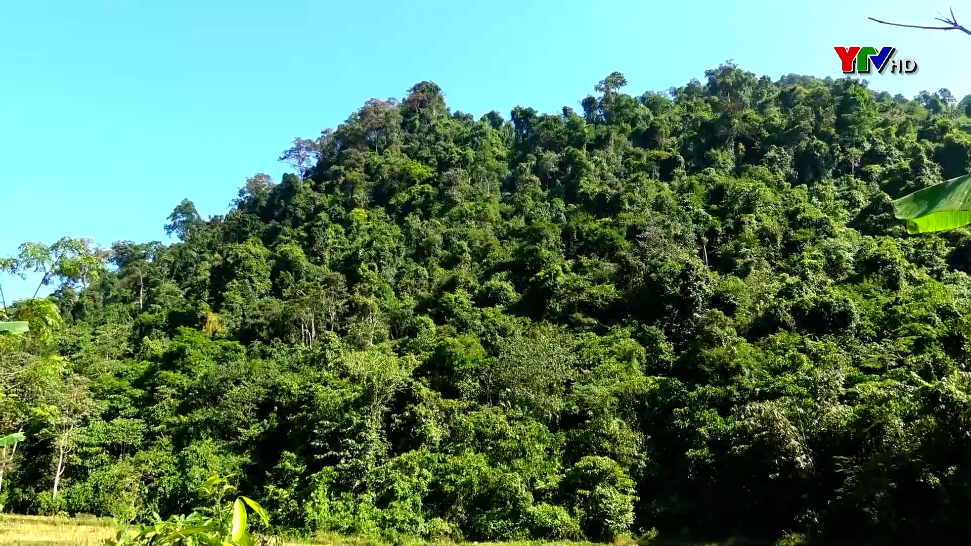 Chính sách chi trả dịch vụ môi trường rừng - Điểm tựa đột phá để rừng được bảo vệ tốt hơn